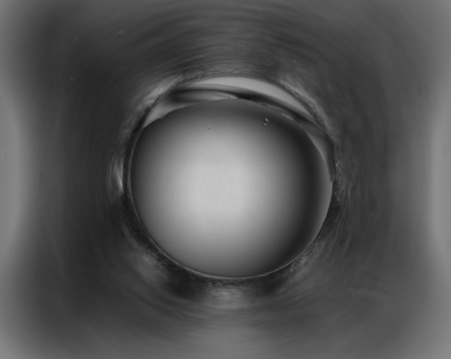 X0000086890062200704161259