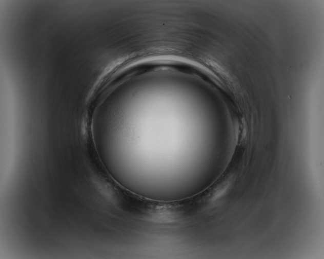 X0000086890064200704161259