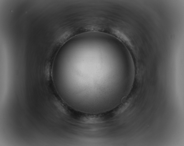 X0000086890065200704161259