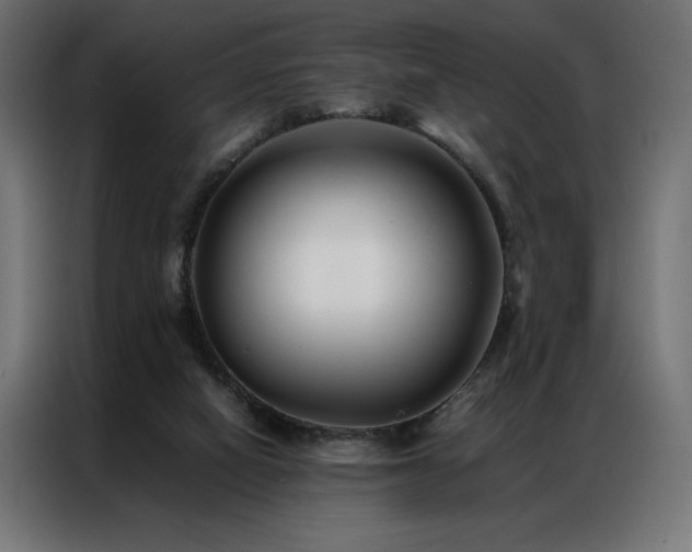 X0000086890066200704161259