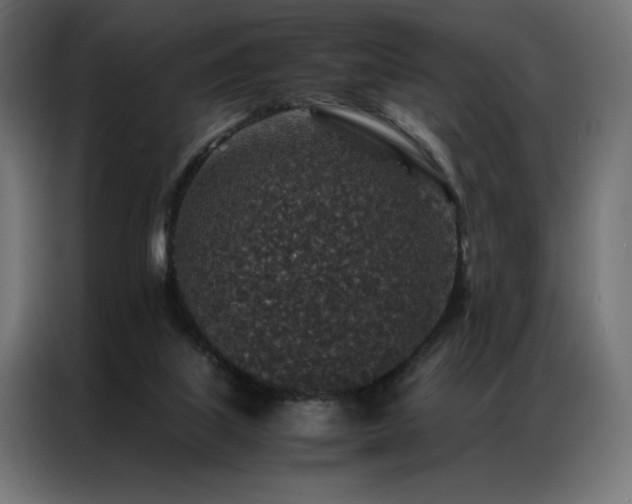 X0000086890067200704161259