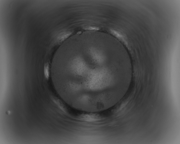 X0000086890069200704161259