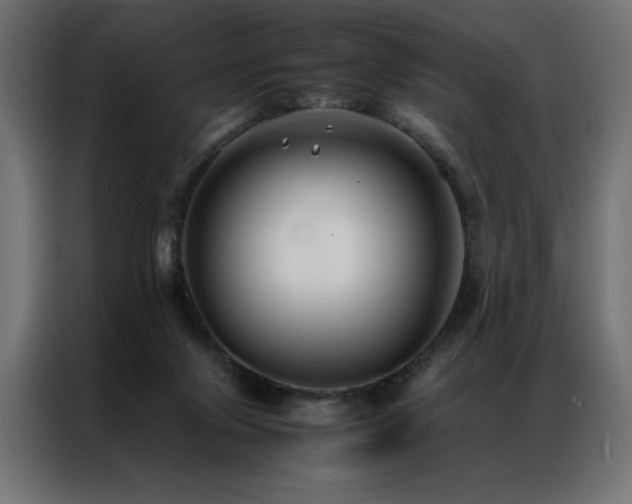 X0000086890071200704161259