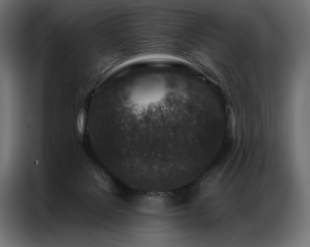 X0000086890076200704161259