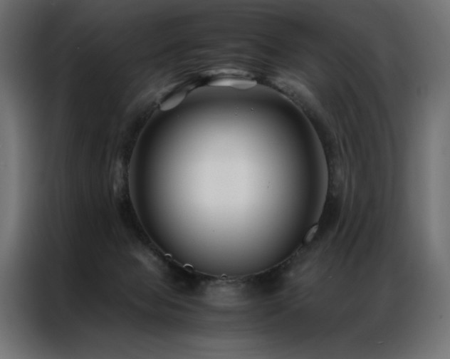 X0000086890077200704161259