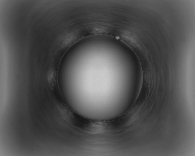 X0000086890079200704161259