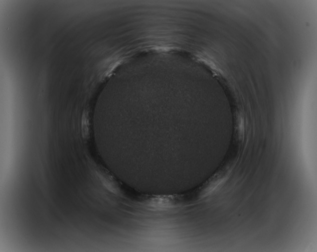 X0000086890080200704161259