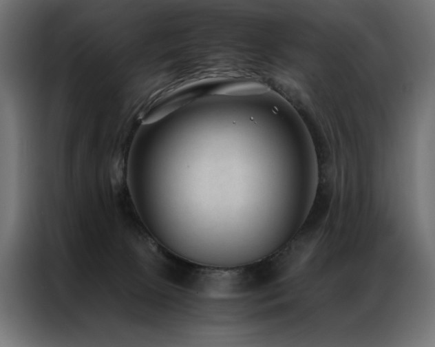 X0000086890081200704161259