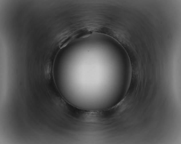 X0000086890082200704161300