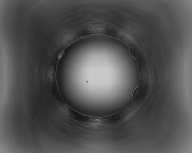 X0000086890083200704161300