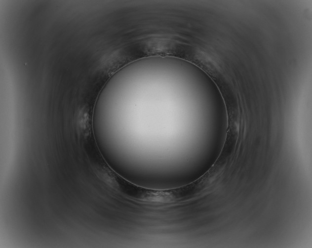 X0000086890087200704161300