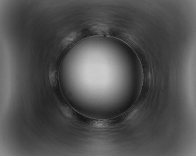 X0000086890088200704161300