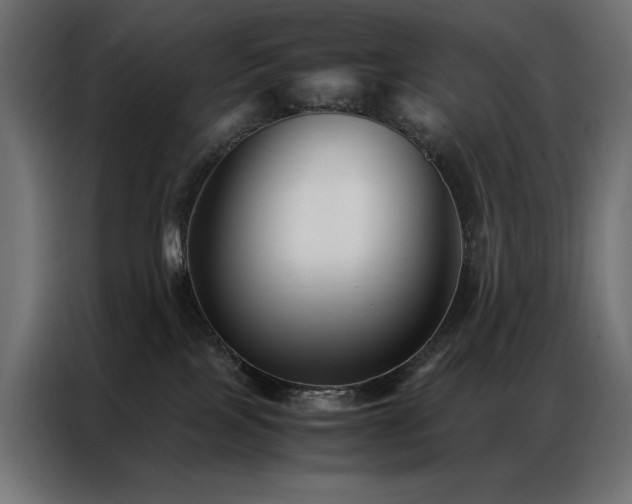 X0000086890089200704161300