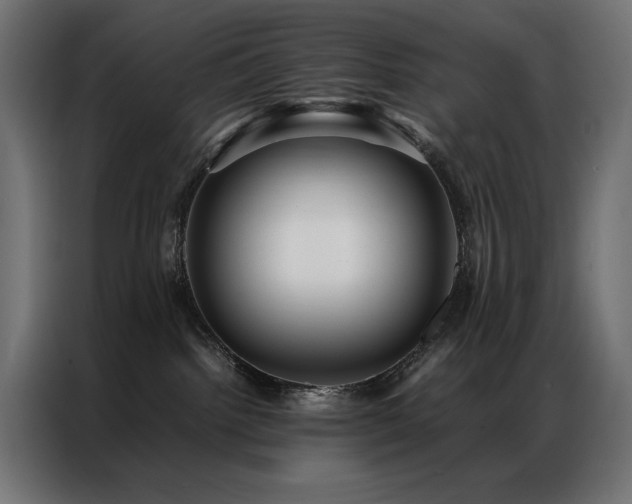 X0000086890092200704161300