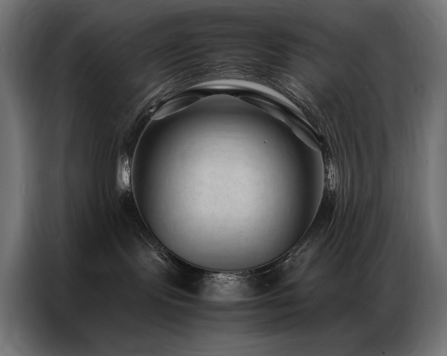 X0000086890095200704161300