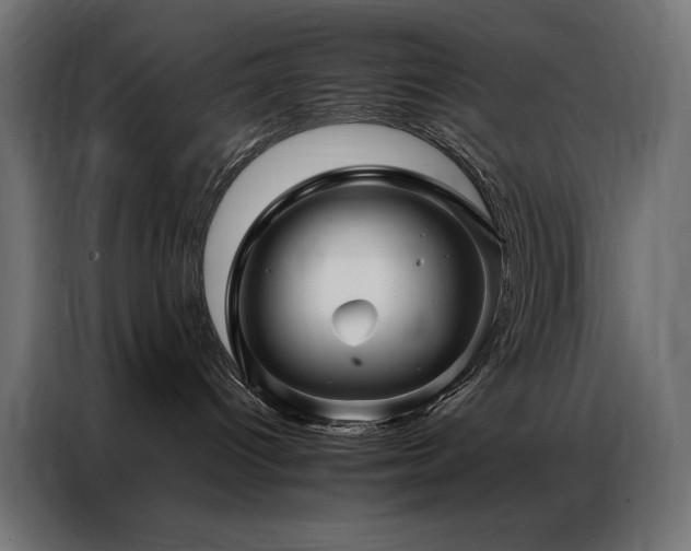 X0000086890096200704161300