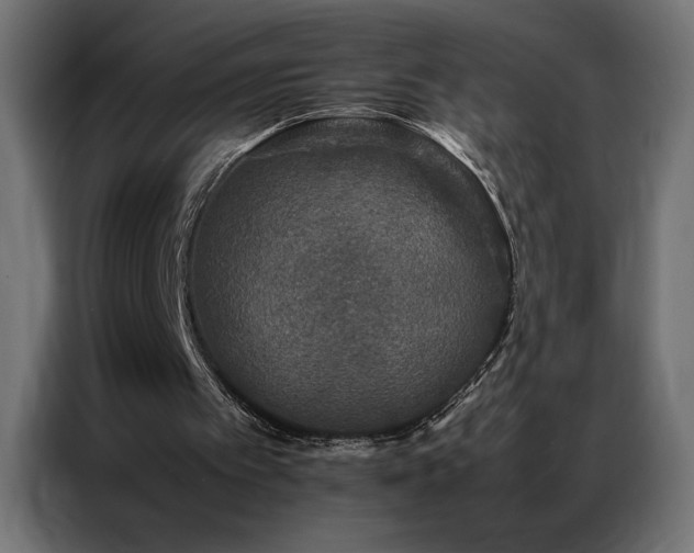 X0000086890097200704161259