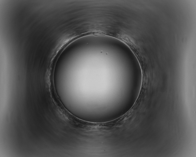 X0000086890098200704161259