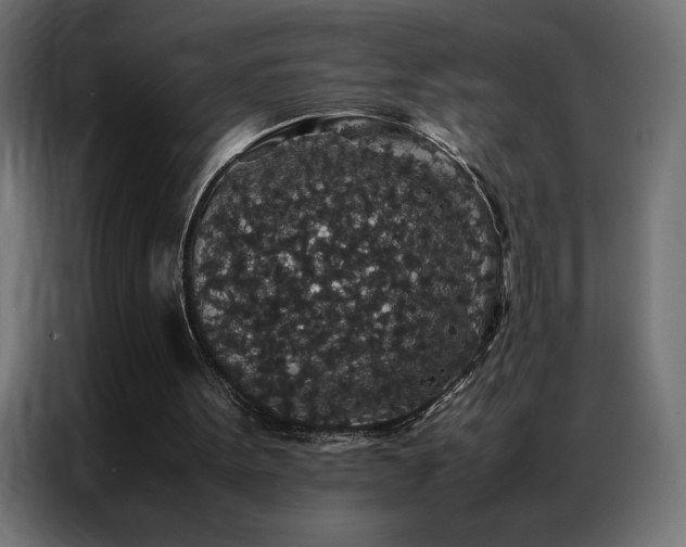 X0000086890099200704161259