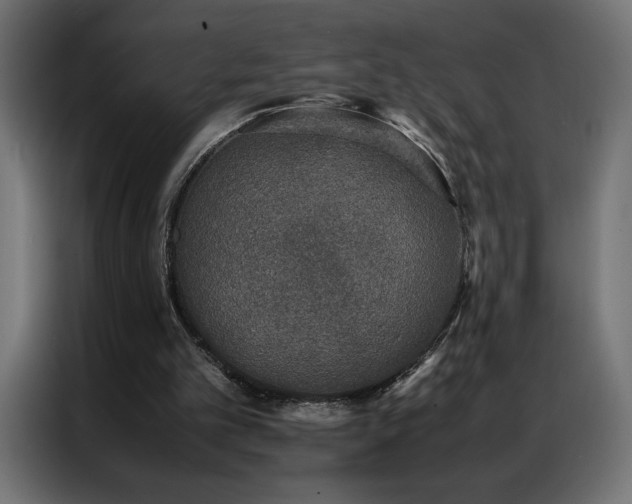 X0000086890101200704161259