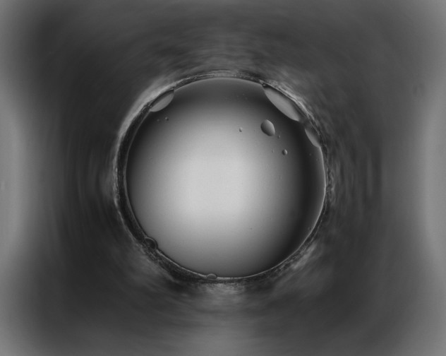 X0000086890102200704161259