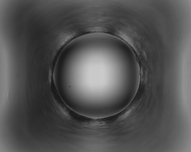 X0000086890109200704161259