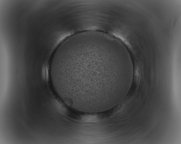 X0000086890110200704161259