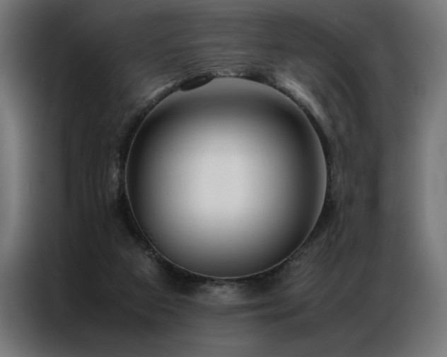 X0000086890113200704161259