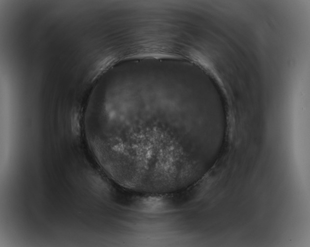 X0000086890114200704161259