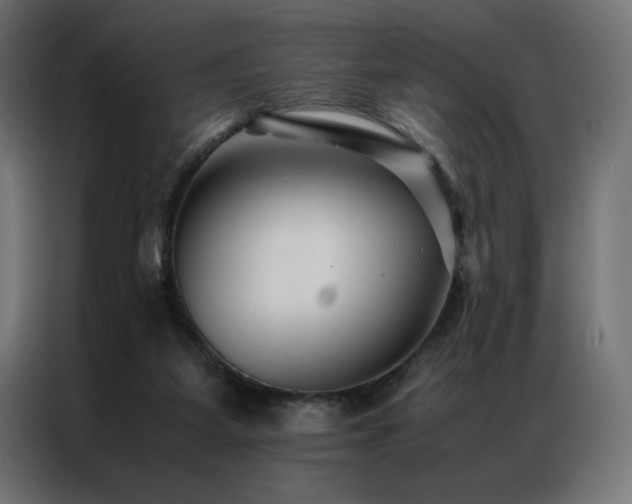 X0000086890115200704161259