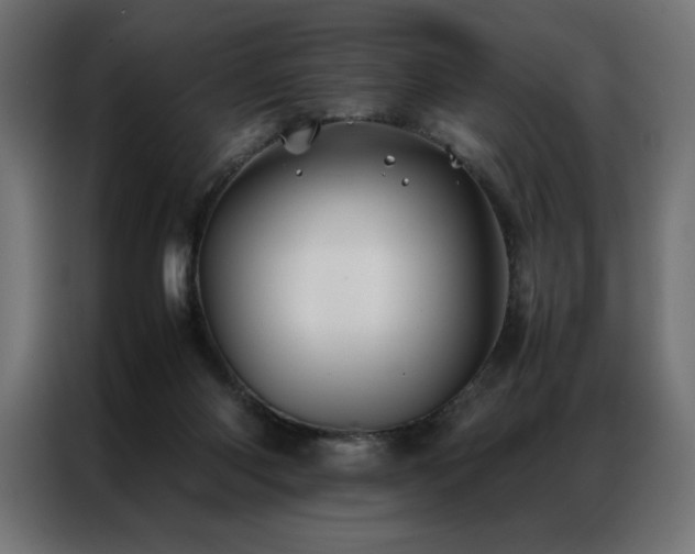 X0000086890118200704161259