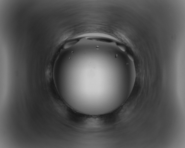 X0000086890119200704161259