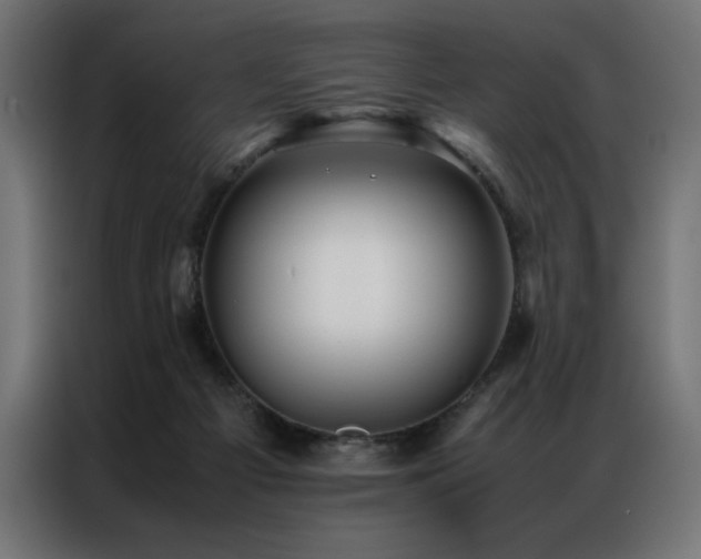 X0000086890121200704161258