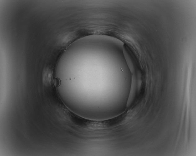 X0000086890123200704161258