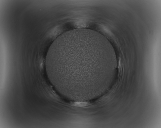 X0000086890125200704161258