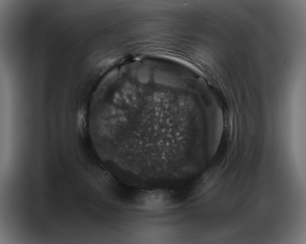 X0000086890127200704161258