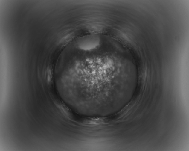 X0000086890130200704161258