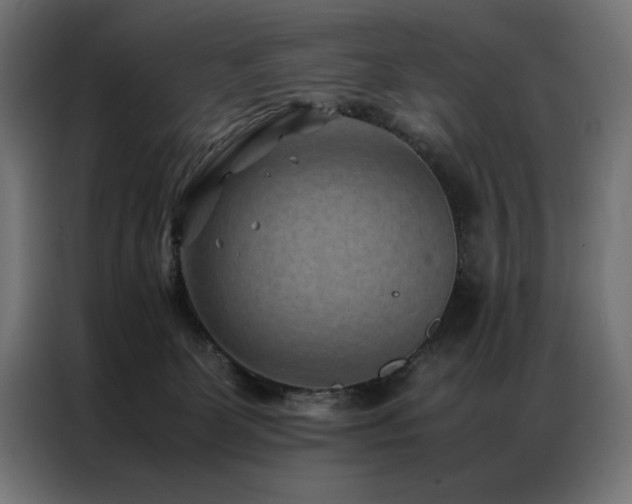 X0000086890131200704161258