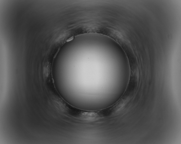 X0000086890133200704161258