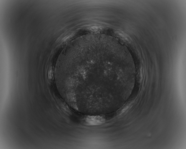 X0000086890137200704161258