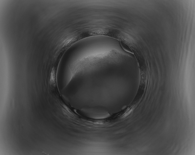 X0000086890143200704161258