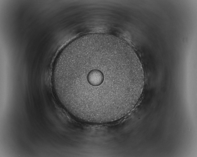 X0000086890146200704161257