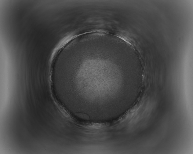 X0000086890149200704161257