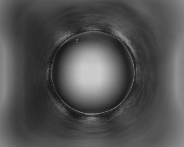 X0000086890153200704161257