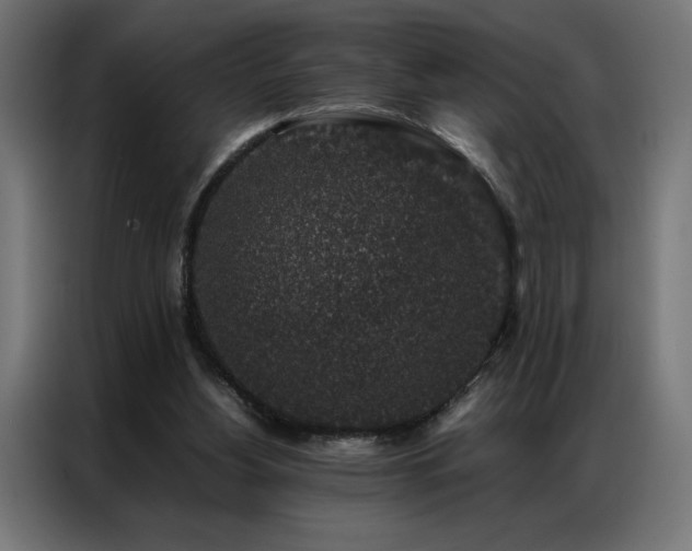 X0000086890156200704161257