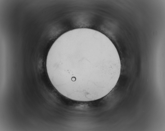 X0000086890162200704161257