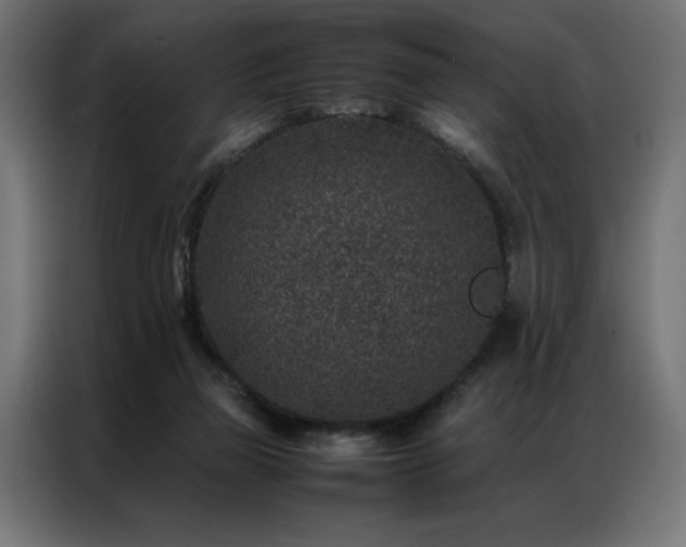 X0000086890165200704161257