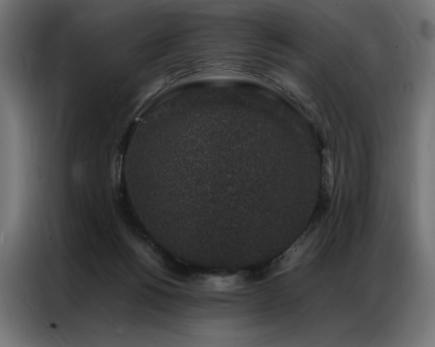 X0000086890168200704161258