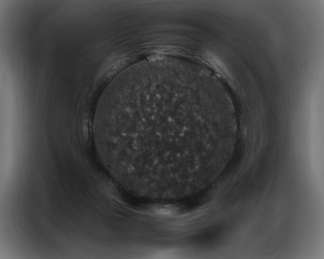 X0000086890169200704161258