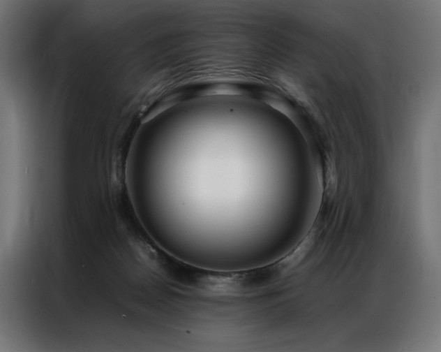 X0000086890170200704161258